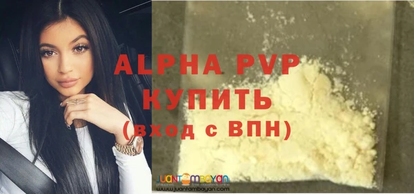 стафф Алзамай