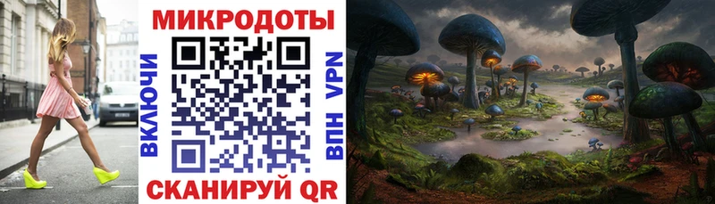 Галлюциногенные грибы ЛСД  Новая Ладога 